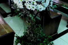 10384750_801640636569713_8963416360252838274_n