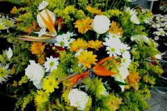 10616032_801640516569725_6272612709531044086_n